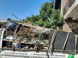 Best Attic Cleanout  in Ridgetop, TN